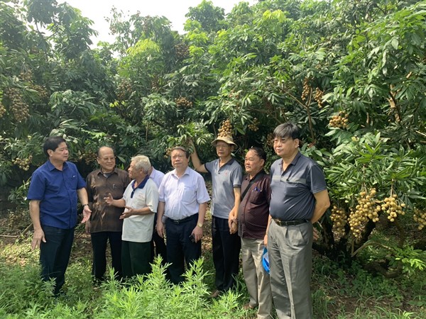 Chủ tịch Hội Lê Quốc Doanh thăm, làm việc với Hội Làm vườn tỉnh Hưng Yên
